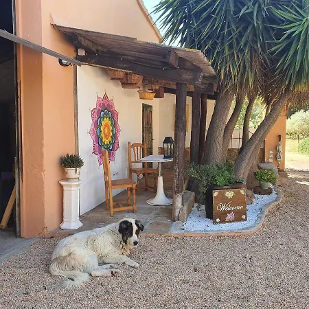 Bed & Breakfast Cal Marxant Palamos